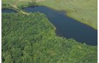 Property photo 4 - 1,025 Acres in 24 Tracts - Exellent Recreation Opportunity - Potential Building Sites - 11 Lakes & Ponds